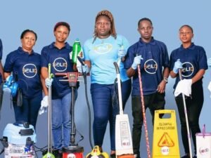 Household Cleaning Services